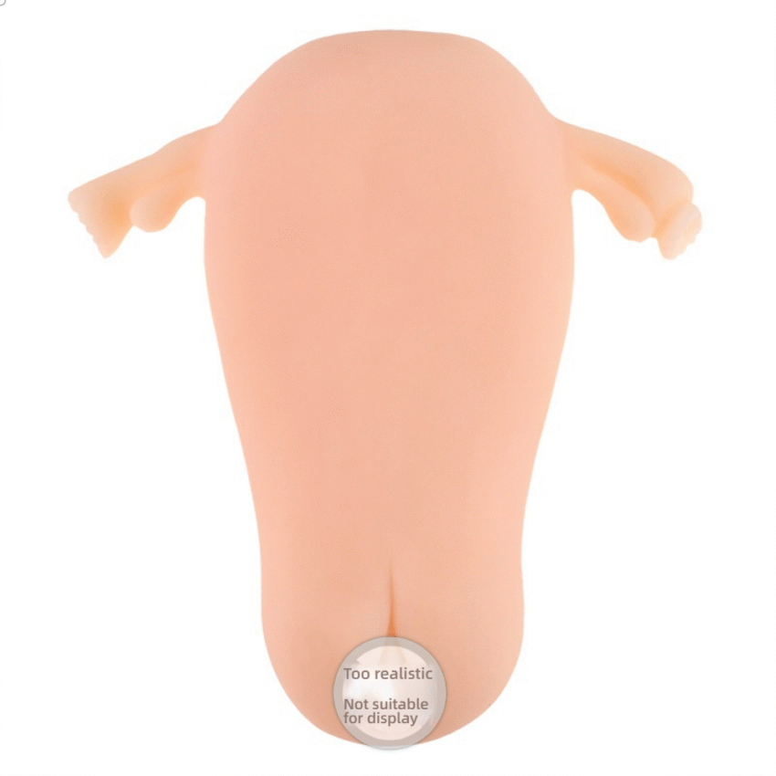 Manmiao male sex toys second generation uterus mold real vagina masturbator