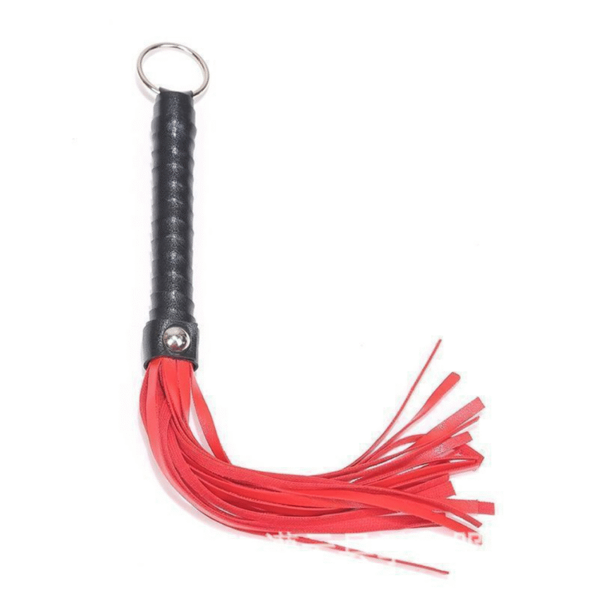 Toy Training Leather Whip - Image 6
